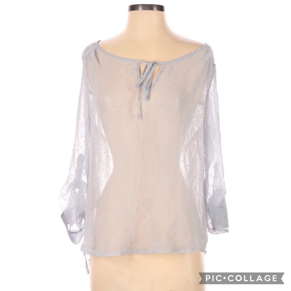 Daniel Rainn Tops - Daniel Rainn Swiss Dot Sheer Chiffon Blouse